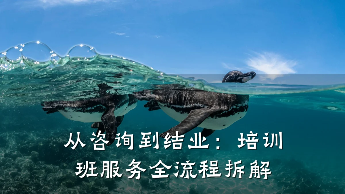 从咨询到结业:培训班服务全流程拆解