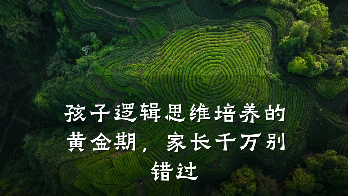孩子逻辑思维培养的黄金期,家长千万别错过