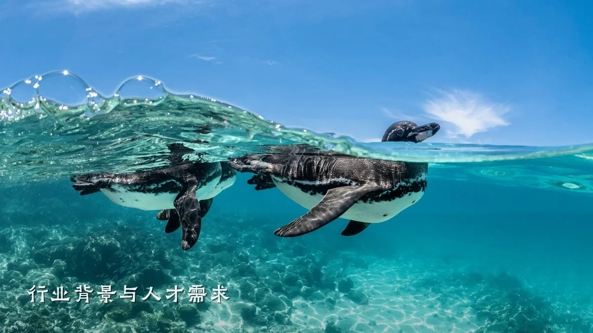 行业背景与人才需求