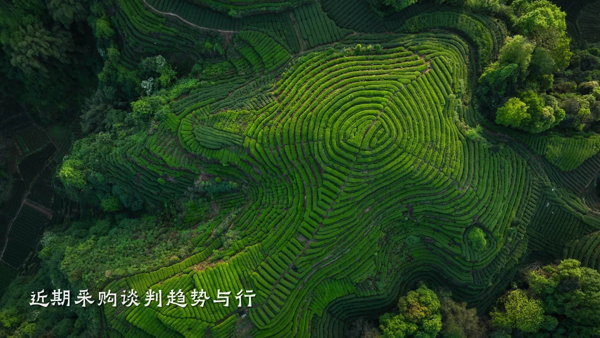 近期采购谈判趋势与行