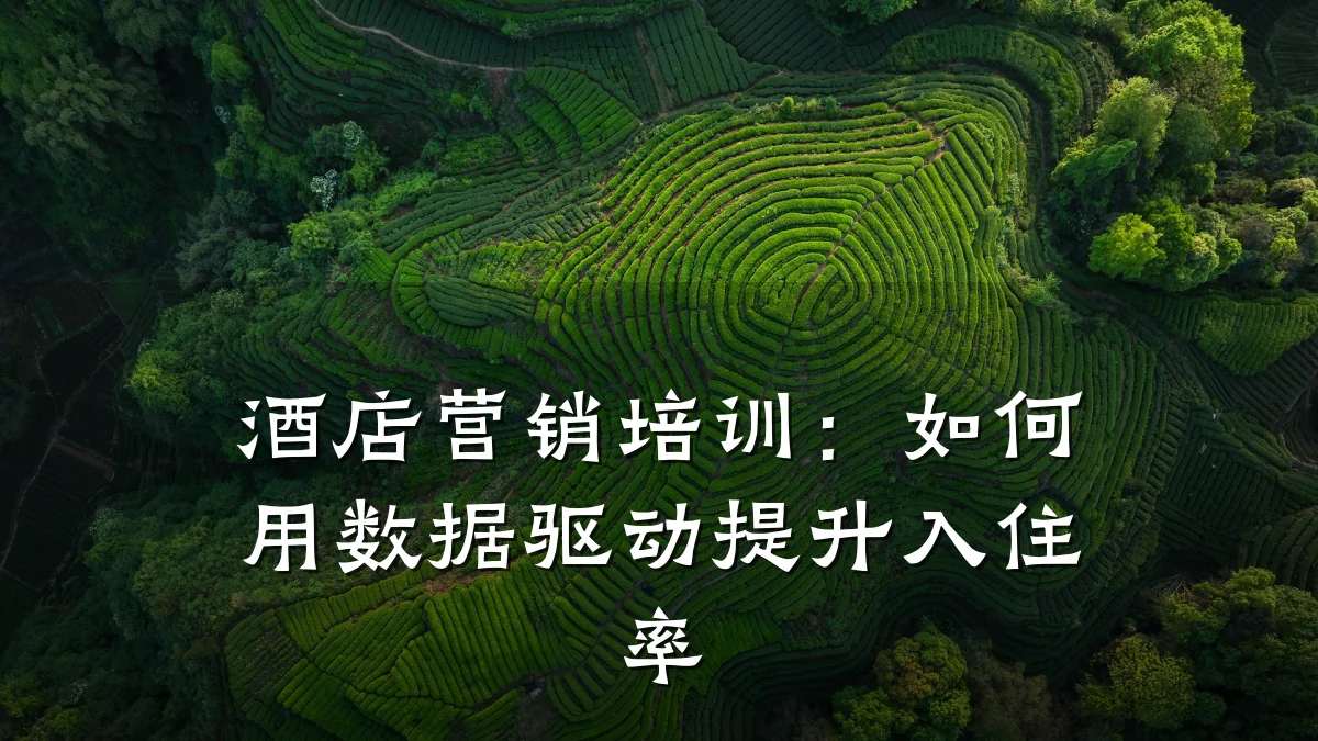 酒店营销培训:如何用数据驱动提升入住率