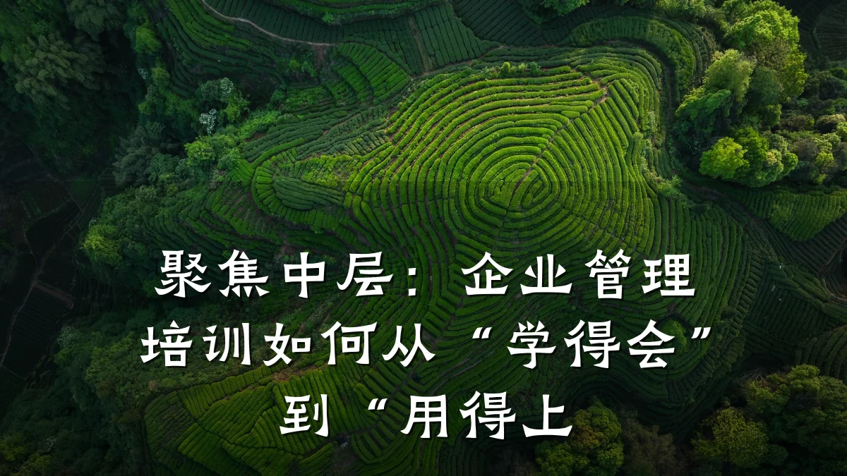聚焦中层:企业管理培训如何从“学得会”到“用得上