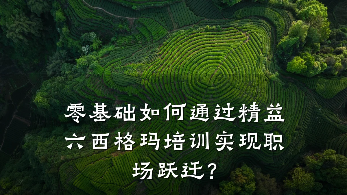 零基础如何通过精益六西格玛培训实现职场跃迁?