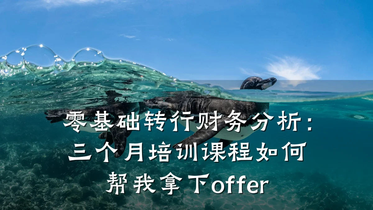 零基础转行财务分析:三个月培训课程如何帮我拿下offer