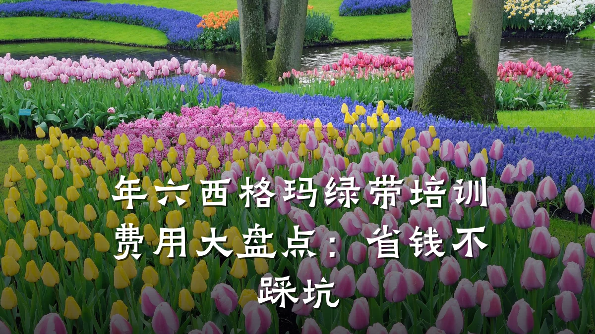年六西格玛绿带培训费用大盘点:省钱不踩坑