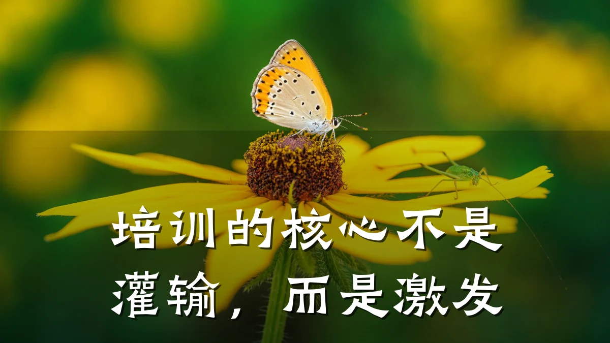 培训的核心不是灌输,而是激发