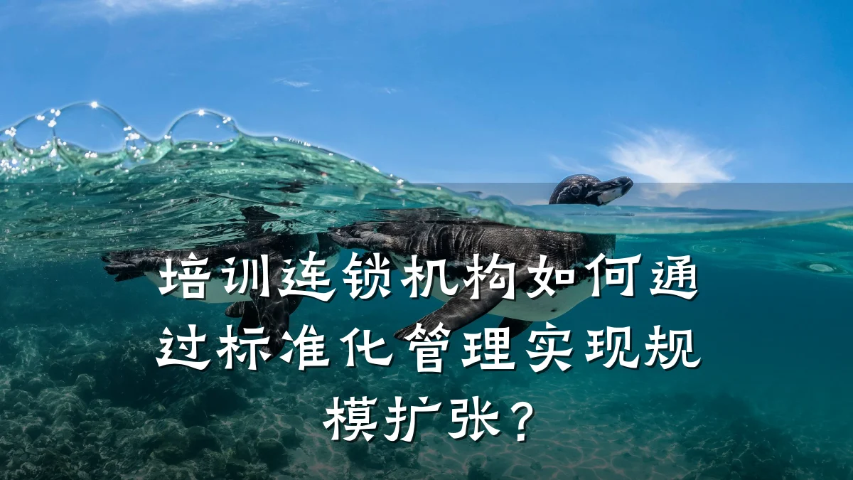 培训连锁机构如何通过标准化管理实现规模扩张?