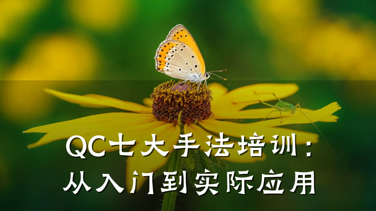 QC七大手法培训:从入门到实际应用