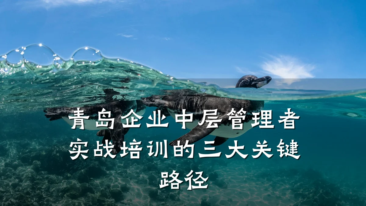 青岛企业中层管理者实战培训的三大关键路径