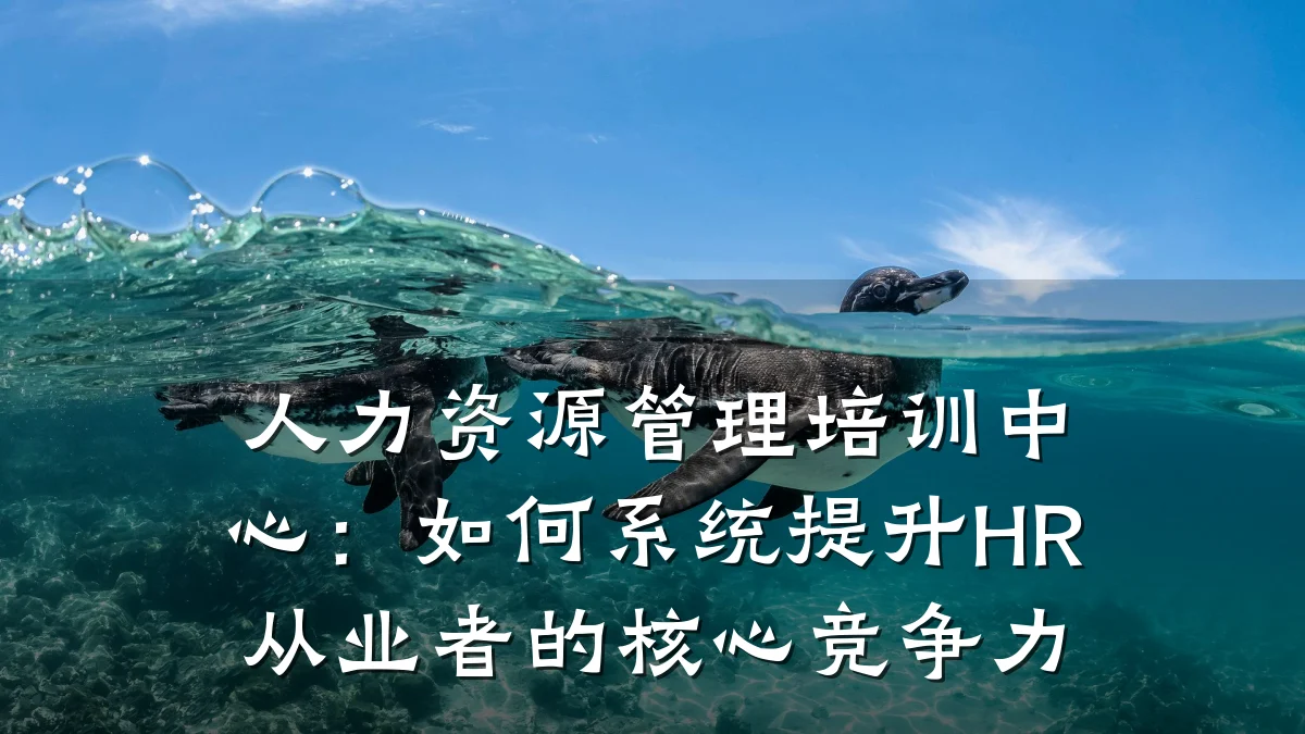 人力资源管理培训中心:如何系统提升HR从业者的核心竞争力
