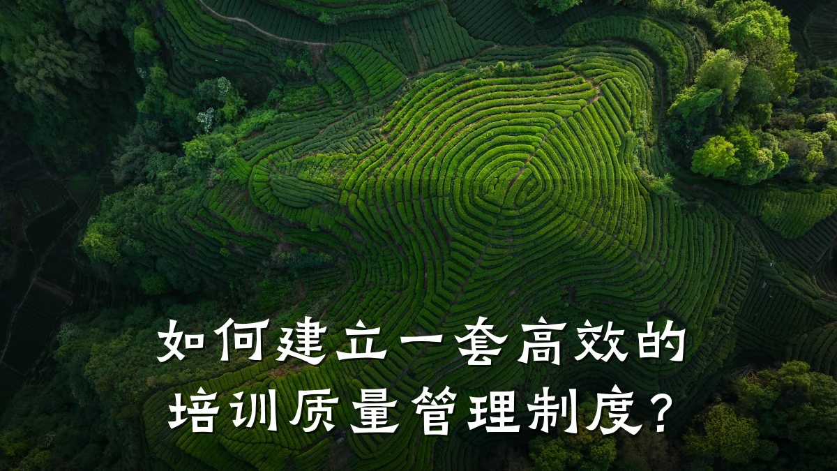 如何建立一套高效的培训质量管理制度?