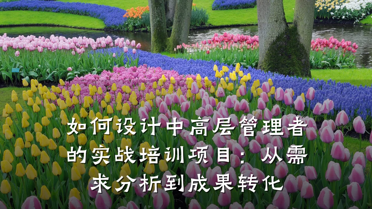 如何设计中高层管理者的实战培训项目:从需求分析到成果转化