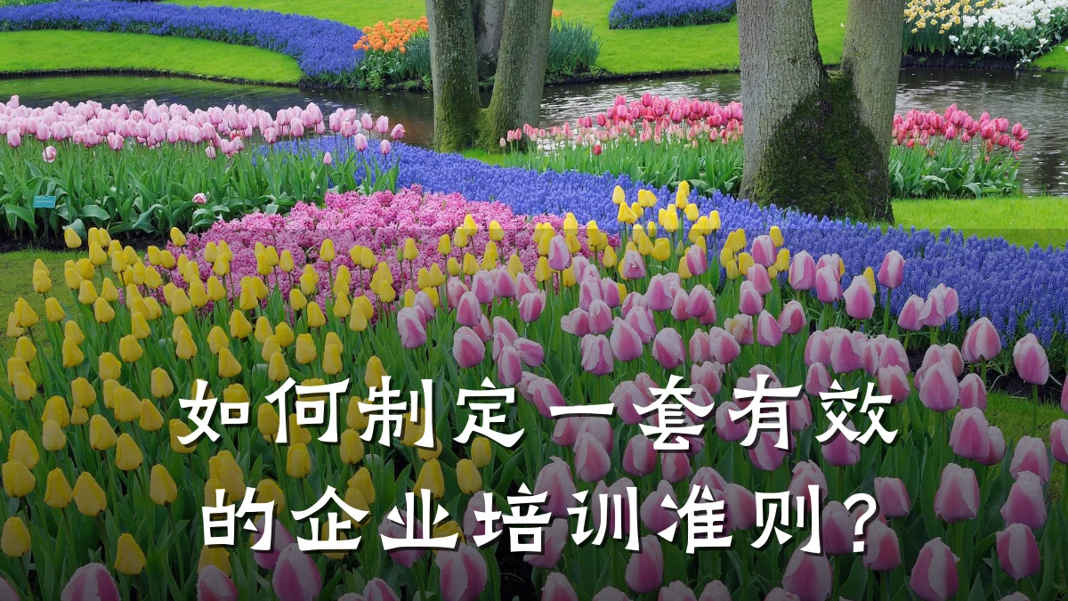 如何制定一套有效的企业培训准则?