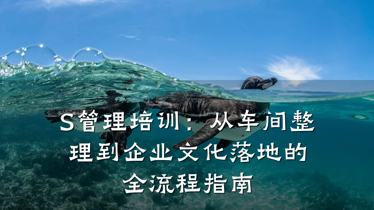 S管理培训:从车间整理到企业文化落地的全流程指南