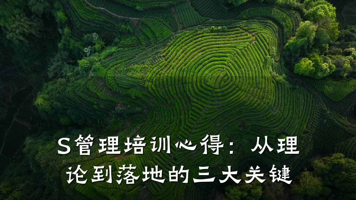 S管理培训心得:从理论到落地的三大关键