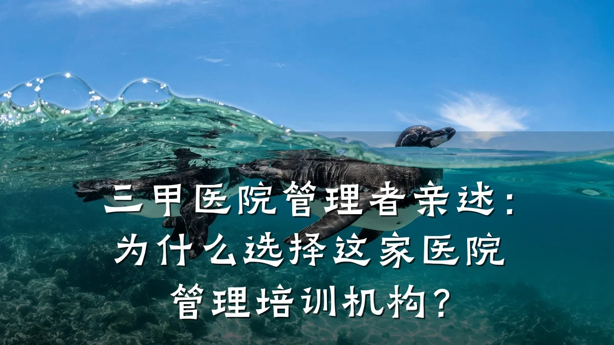 三甲医院管理者亲述:为什么选择这家医院管理培训机构?