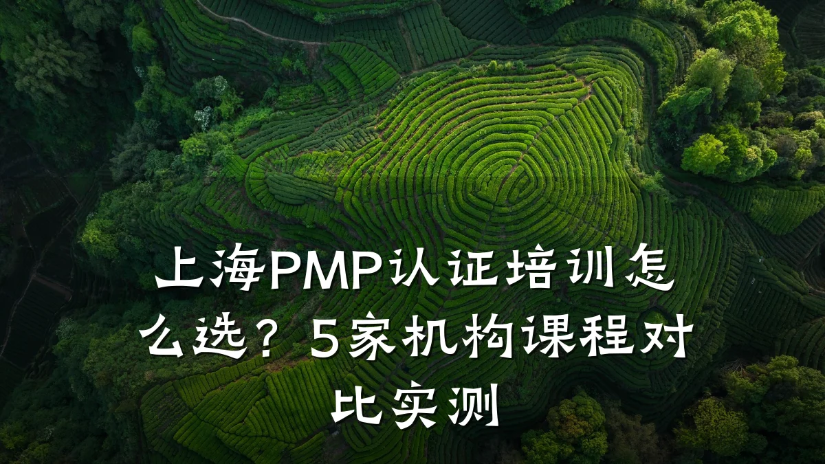 上海PMP认证培训怎么选?5家机构课程对比实测