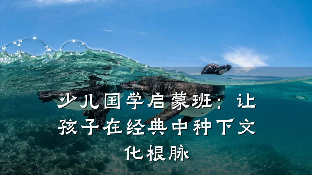 少儿国学启蒙班:让孩子在经典中种下文化根脉