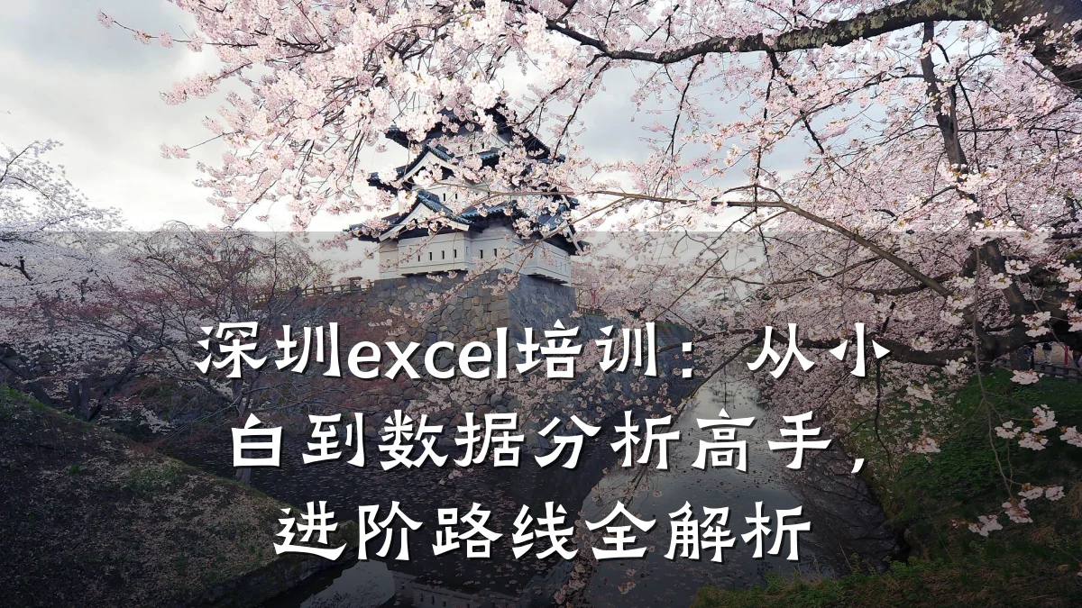 深圳excel培训:从小白到数据分析高手,进阶路线全解析