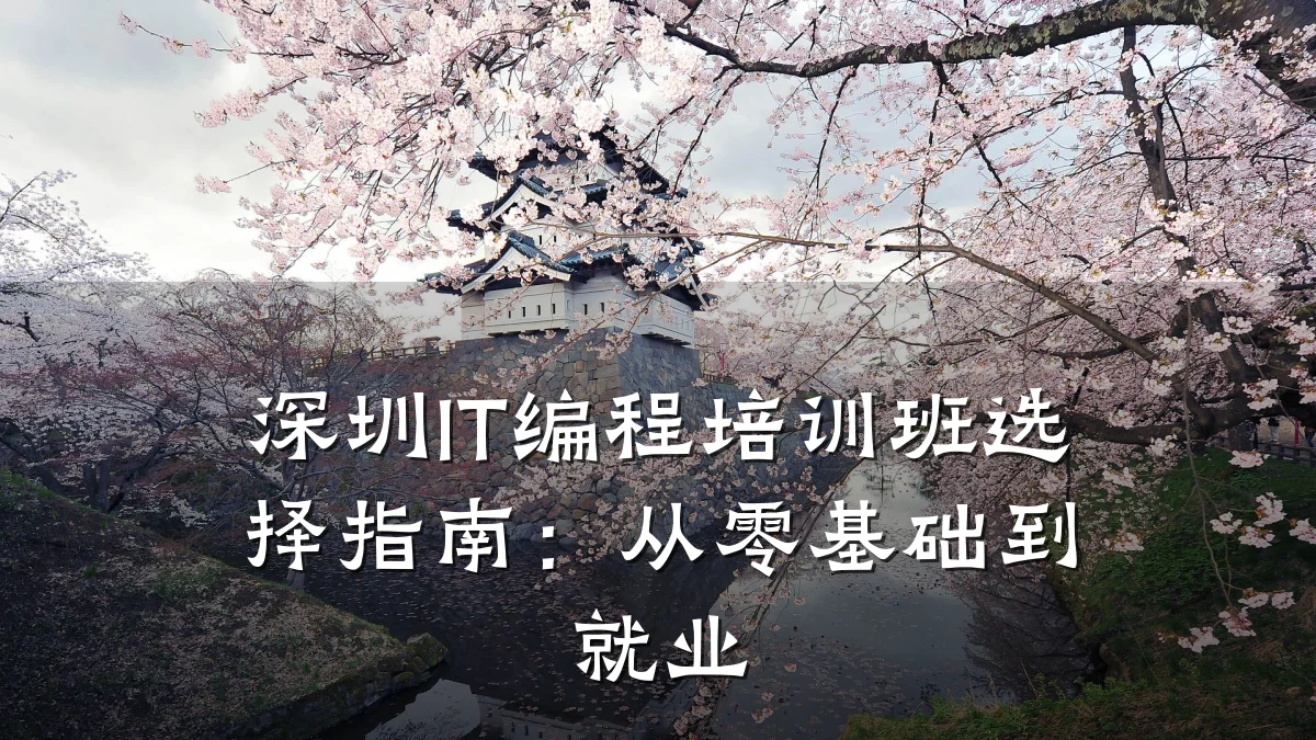 深圳IT编程培训班选择指南:从零基础到就业