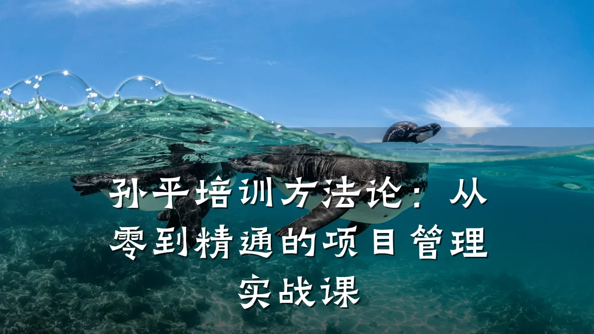 孙平培训方法论：从零到精通的项目管理实战课