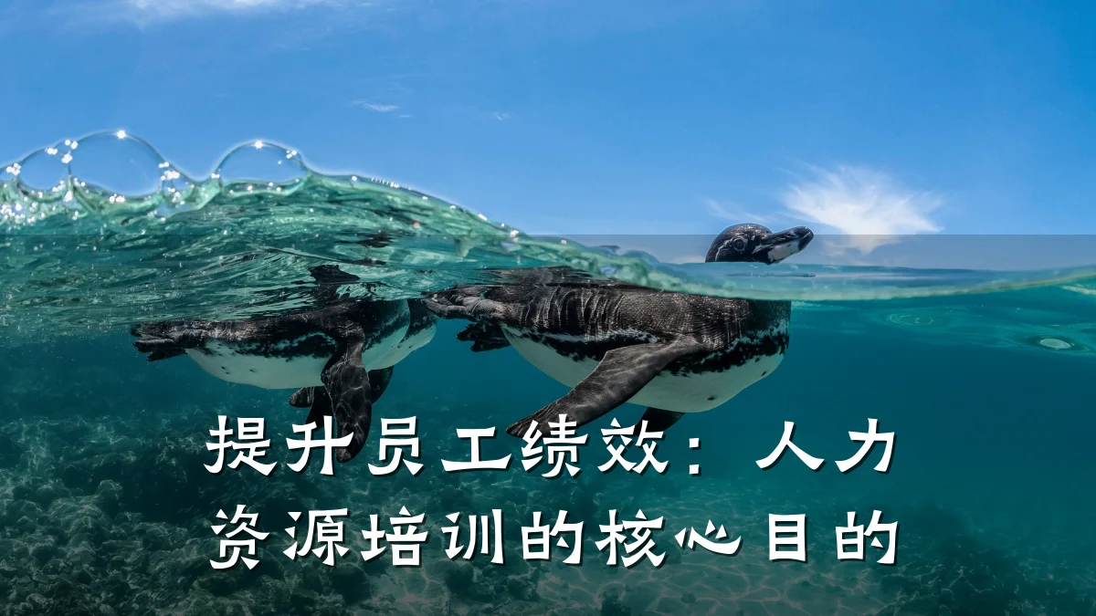 提升员工绩效:人力资源培训的核心目的