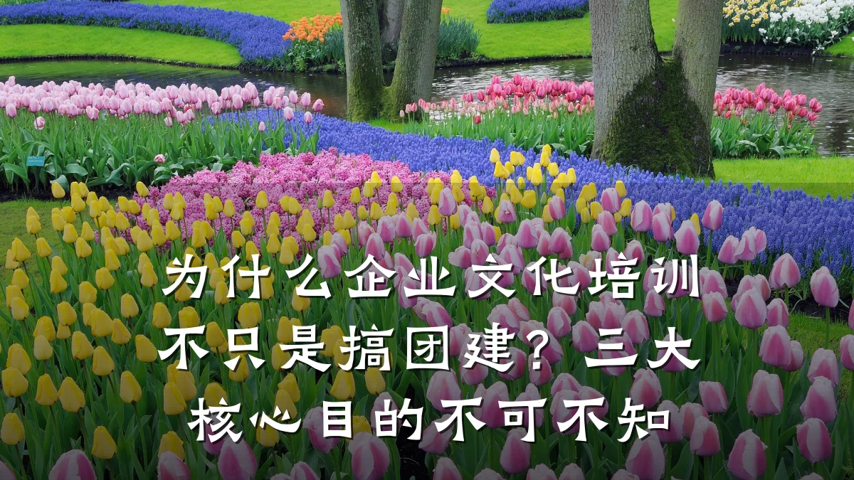 为什么企业文化培训不只是搞团建?三大核心目的不可不知
