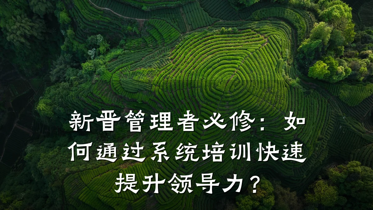 新晋管理者必修:如何通过系统培训快速提升领导力?