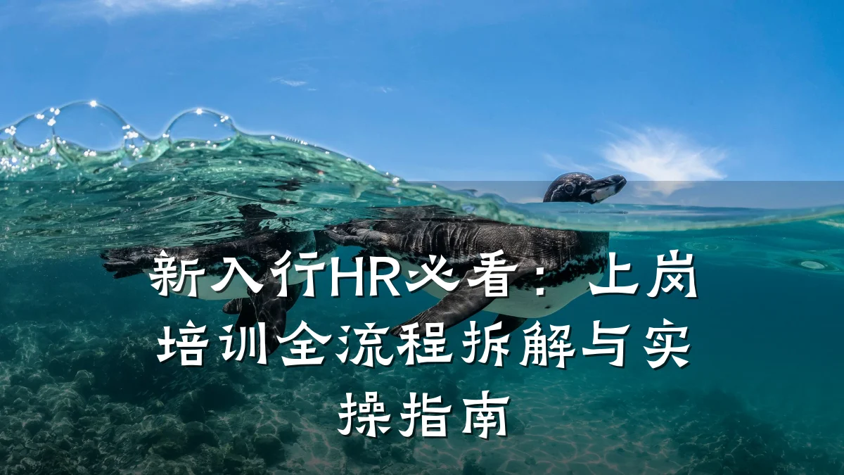 新入行HR必看:上岗培训全流程拆解与实操指南