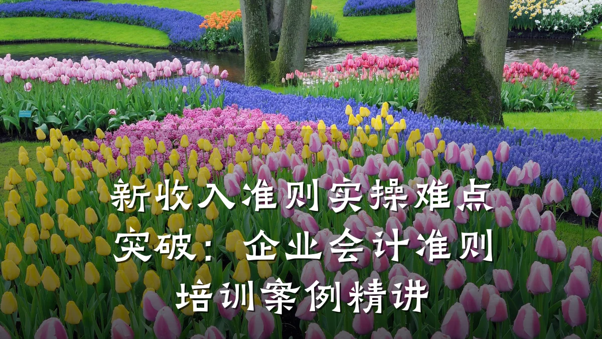 新收入准则实操难点突破:企业会计准则培训案例精讲