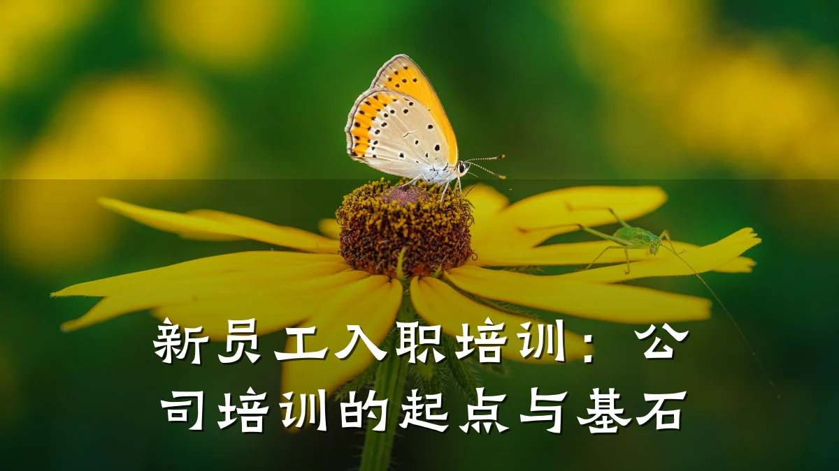 新员工入职培训:公司培训的起点与基石