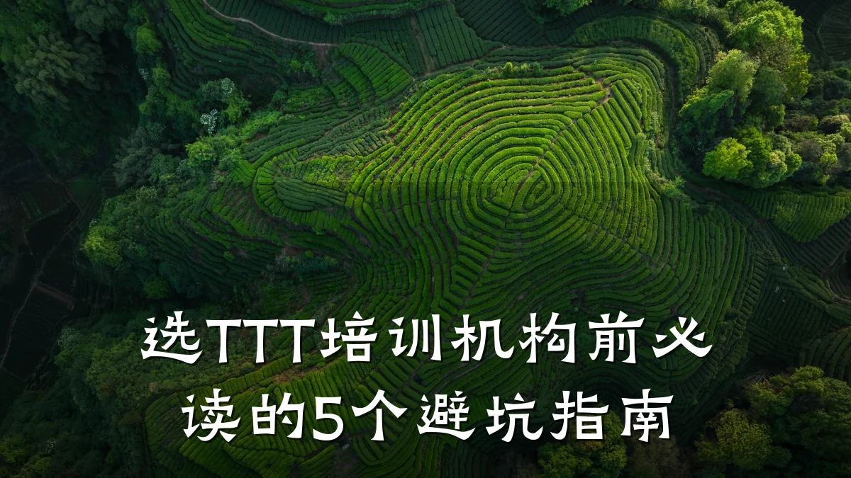 选TTT培训机构前必读的5个避坑指南