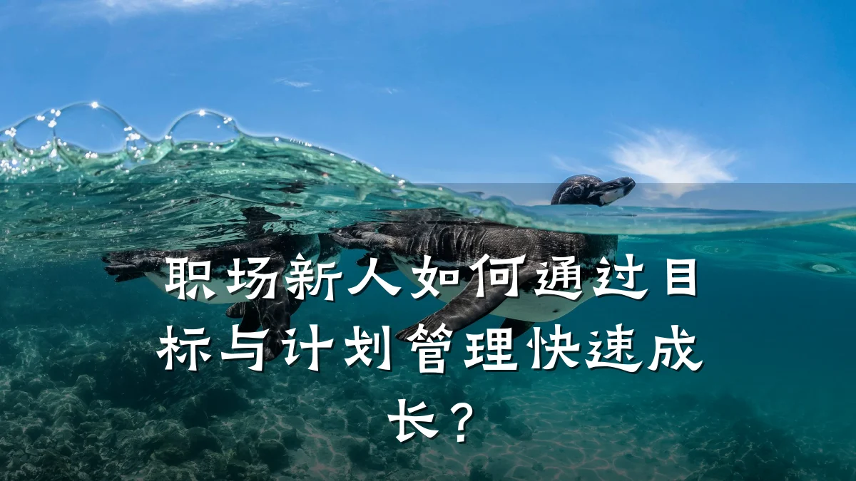 职场新人如何通过目标与计划管理快速成长?