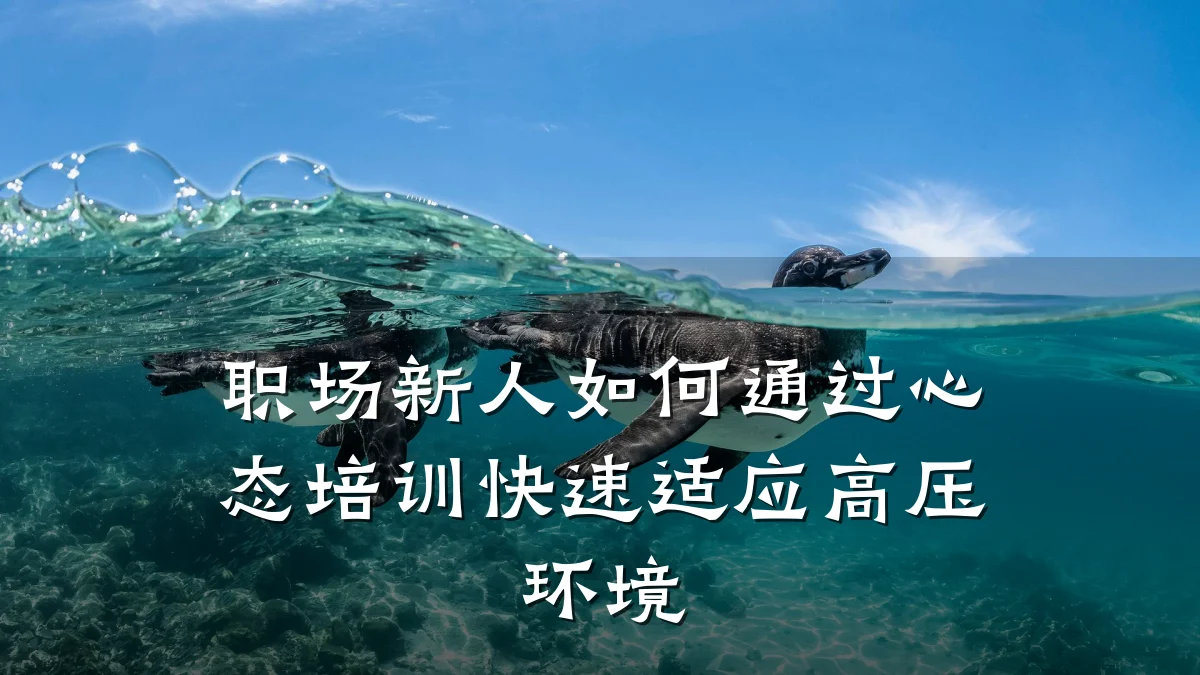 职场新人如何通过心态培训快速适应高压环境