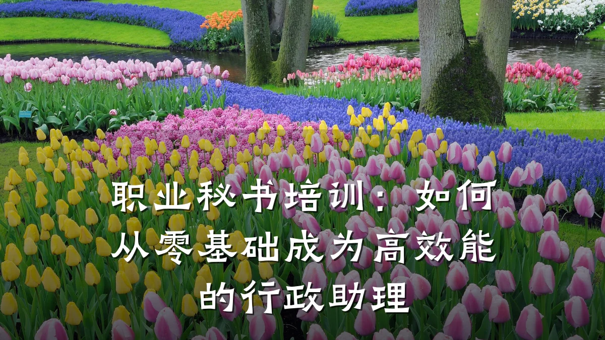 职业秘书培训:如何从零基础成为高效能的行政助理