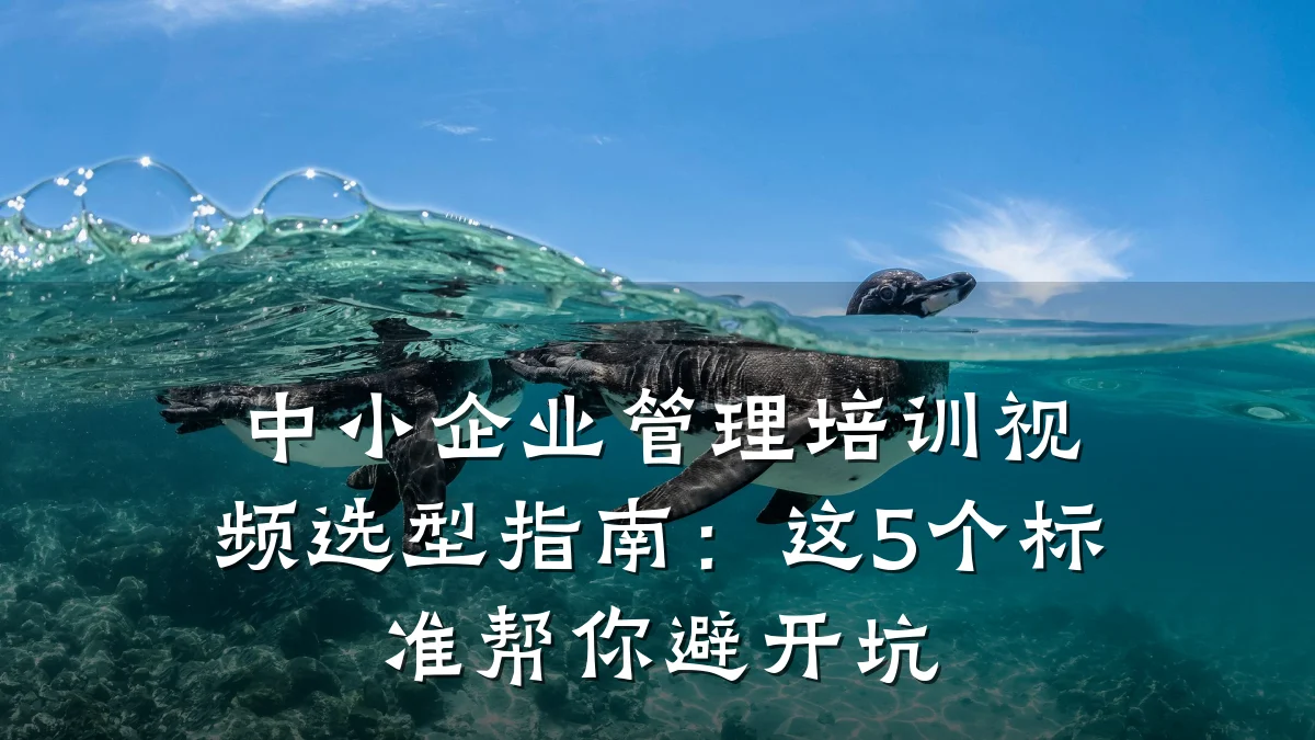 中小企业管理培训视频选型指南:这5个标准帮你避开坑