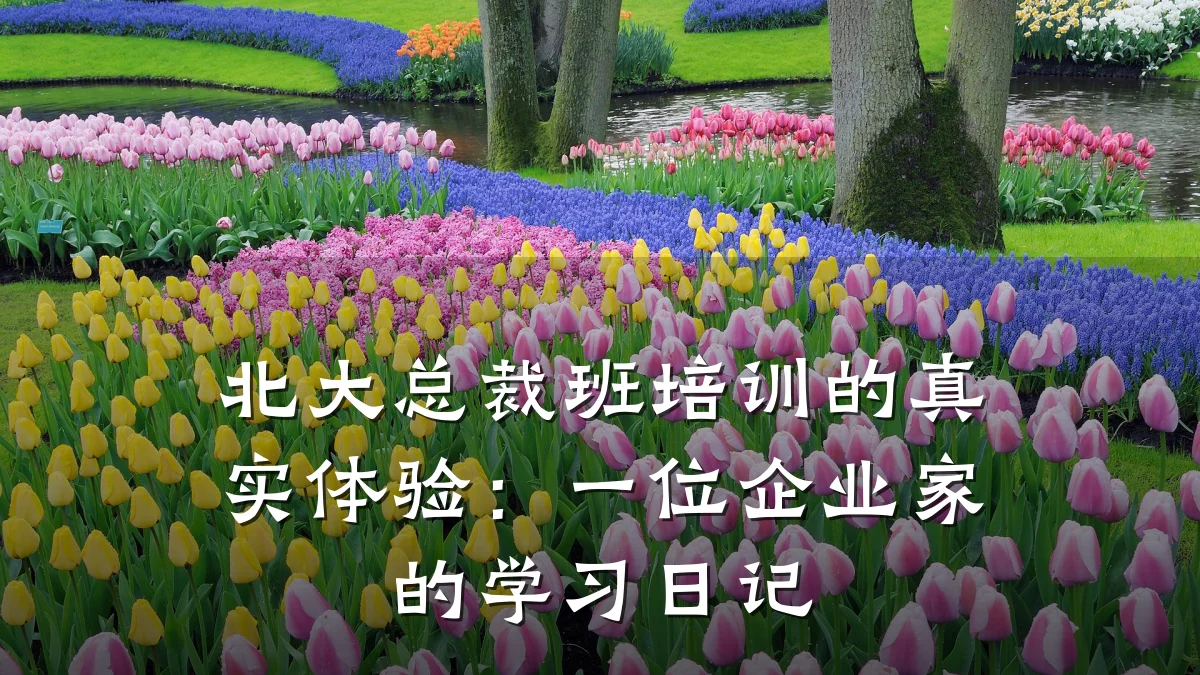 北大总裁班培训的真实体验:一位企业家的学习日记