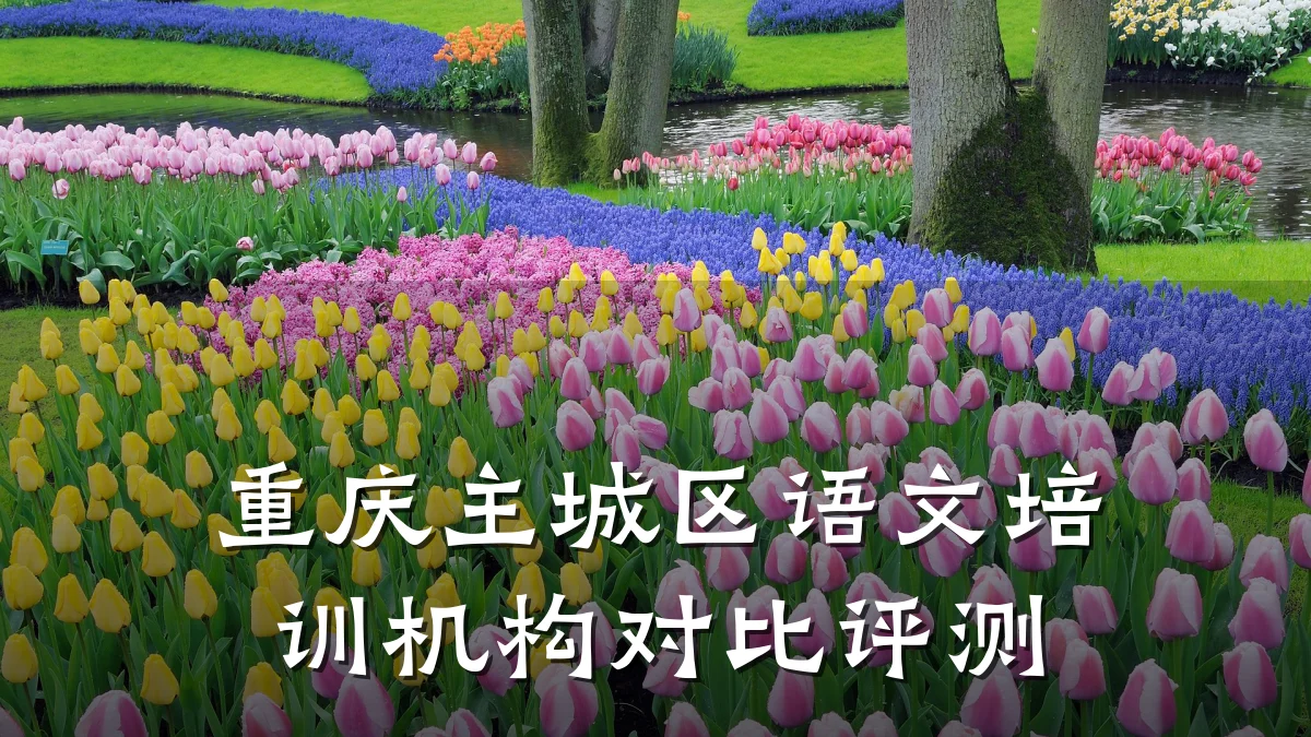 重庆主城区语文培训机构对比评测