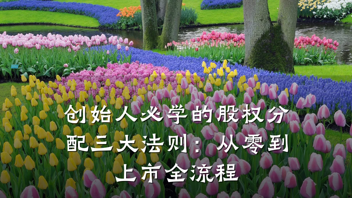 创始人必学的股权分配三大法则:从零到上市全流程