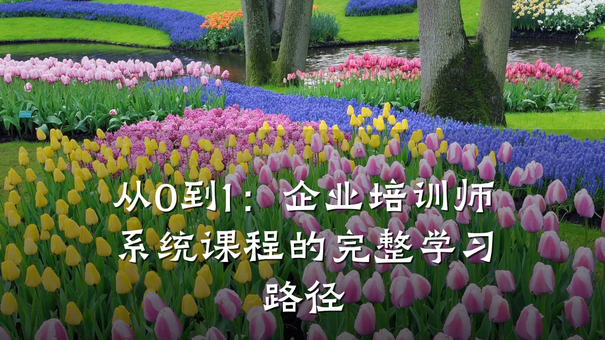 从0到1:企业培训师系统课程的完整学习路径