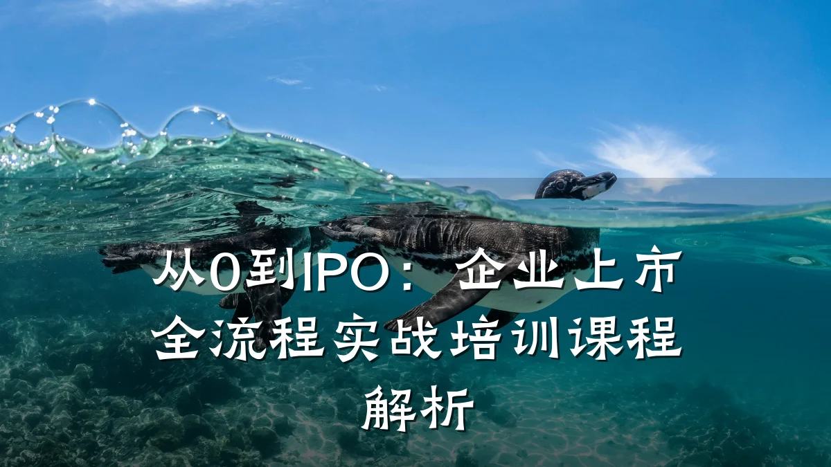 从0到IPO:企业上市全流程实战培训课程解析