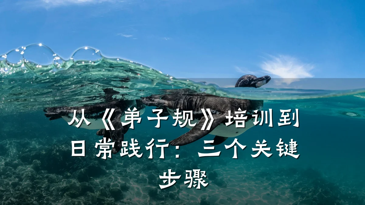 从《弟子规》培训到日常践行:三个关键步骤