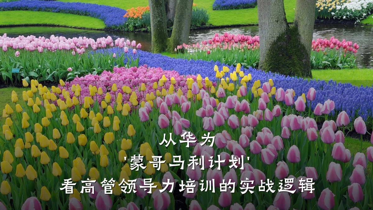 从华为 '蒙哥马利计划' 看高管领导力培训的实战逻辑