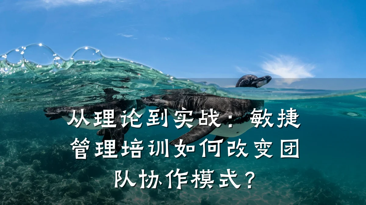 从理论到实战:敏捷管理培训如何改变团队协作模式?