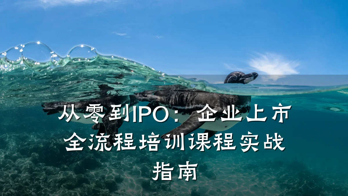从零到IPO:企业上市全流程培训课程实战指南