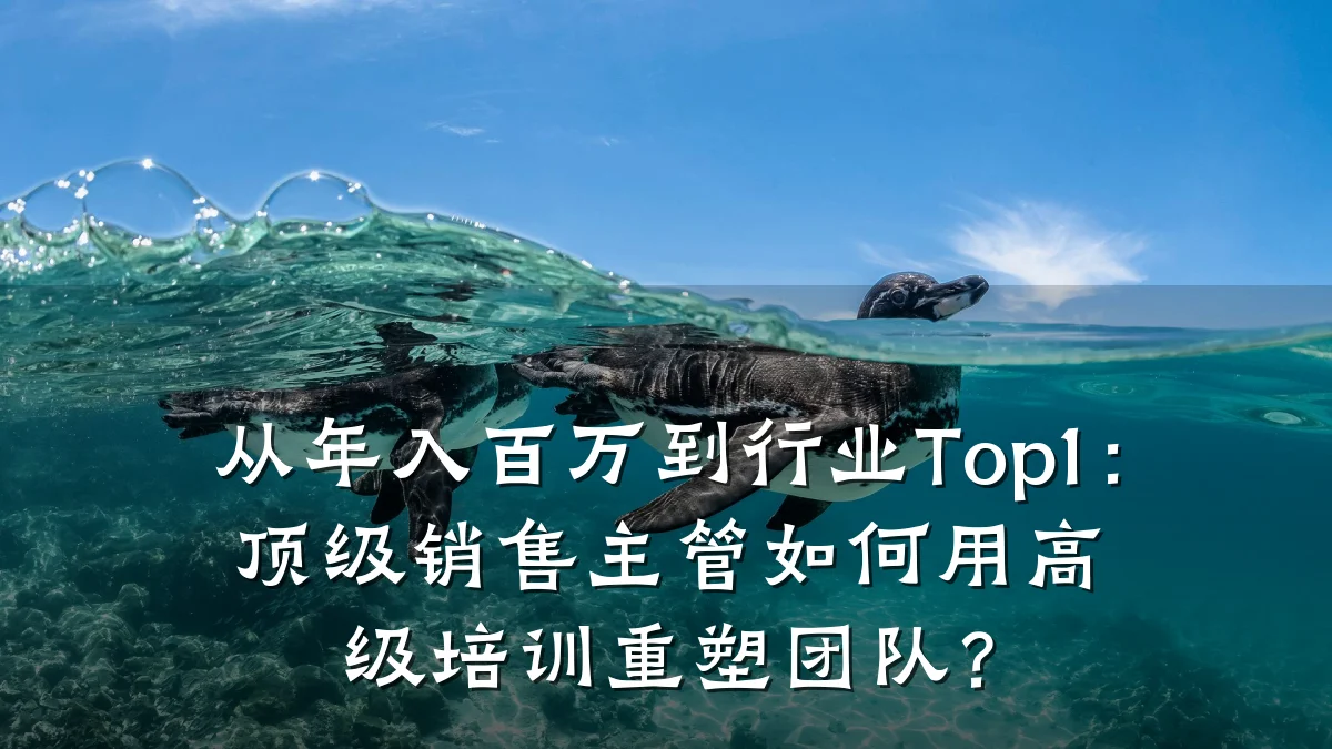 从年入百万到行业Top1:顶级销售主管如何用高级培训重塑团队?