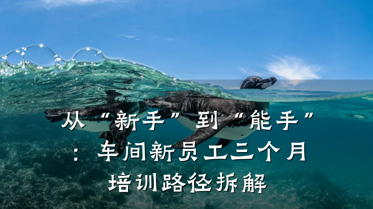 从“新手”到“能手”:车间新员工三个月培训路径拆解