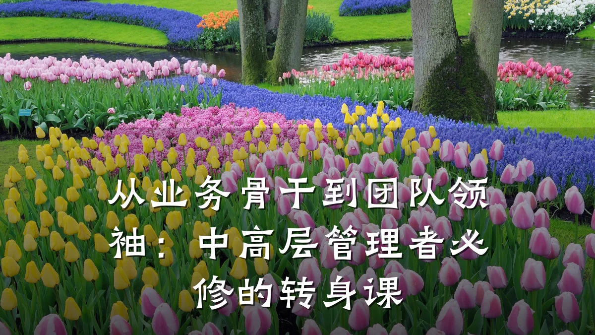 从业务骨干到团队领袖:中高层管理者必修的转身课