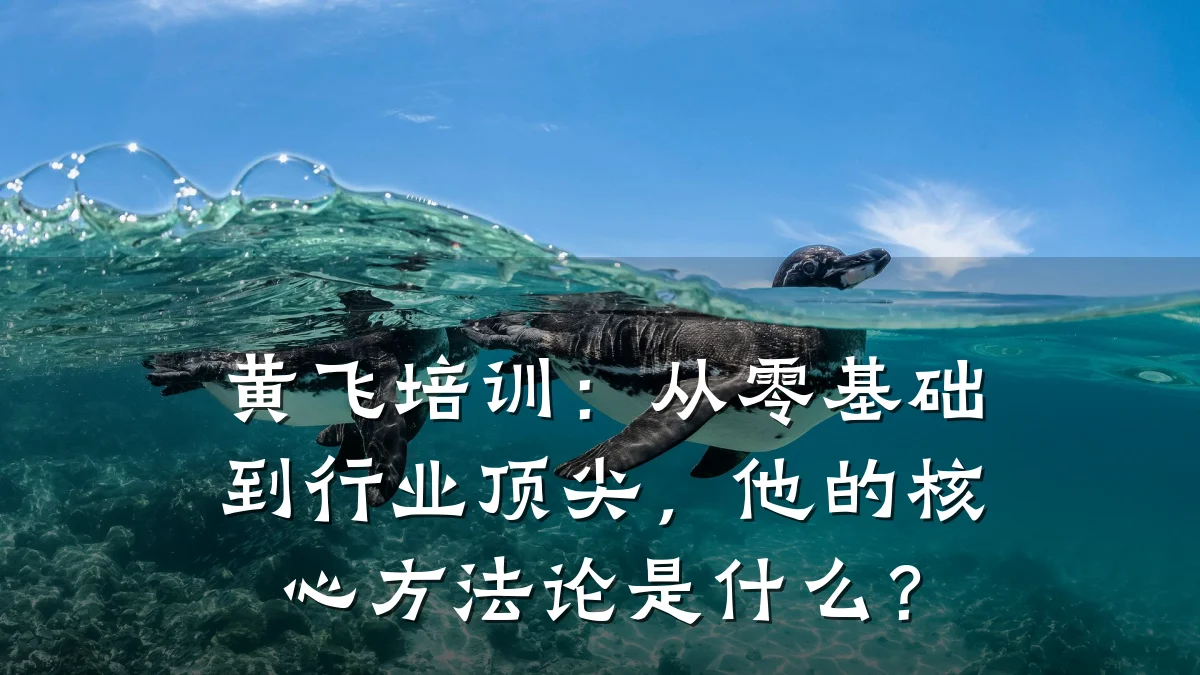 黄飞培训:从零基础到行业顶尖,他的核心方法论是什么?