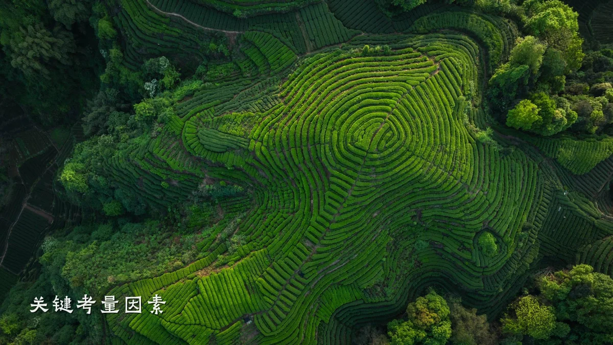 关键考量因素